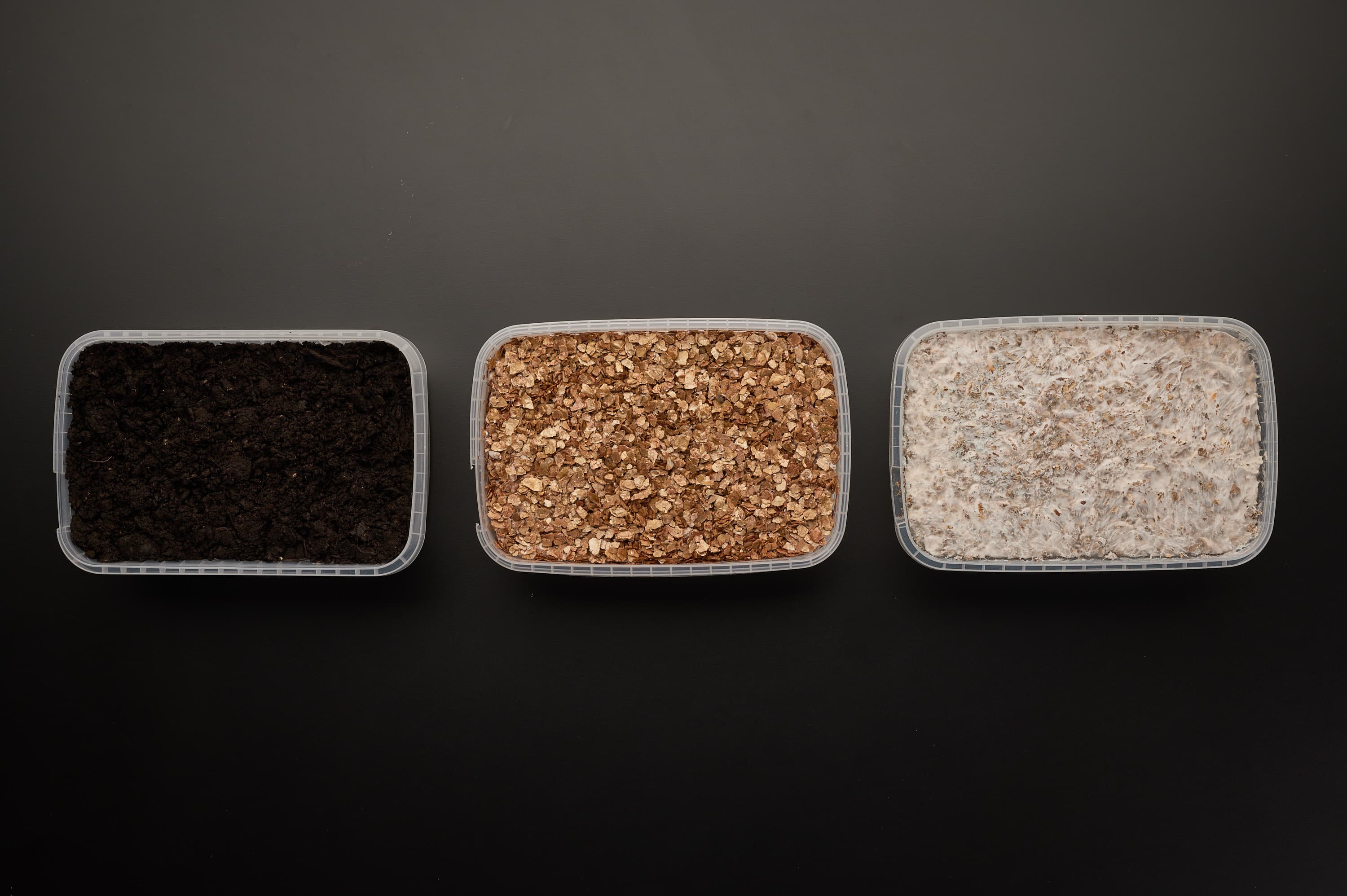 B+ Cubensis Kit